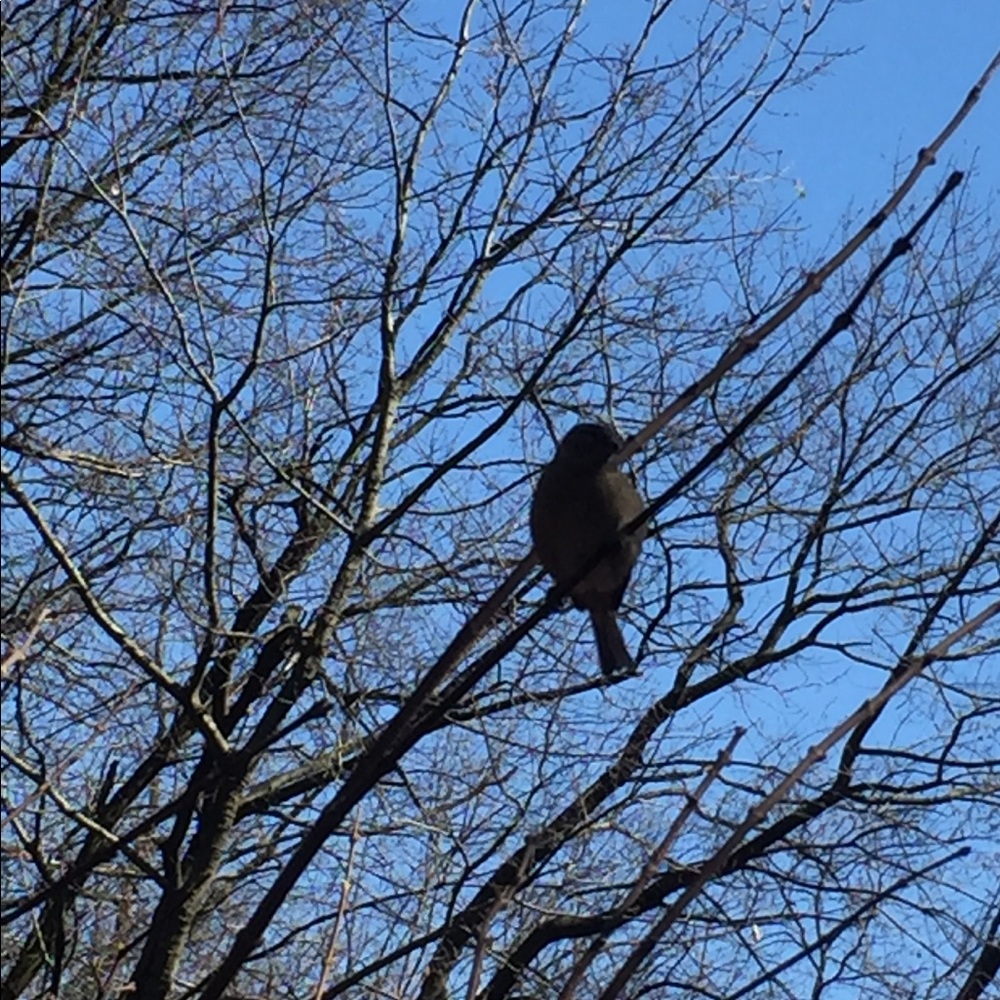 Meet your Posher, Angel